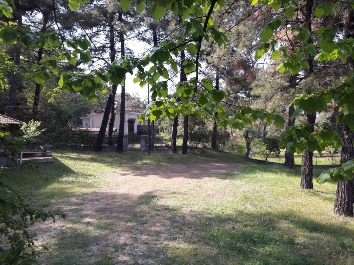 Villa Leo Glykadi Exterior foto